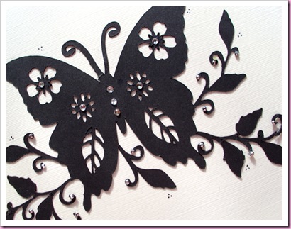 Butterfly card close up Butterfly card close up