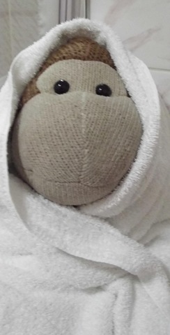 [Monkey wrapped in towel[5].jpg]