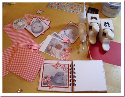 Gingham Mini Baby Book