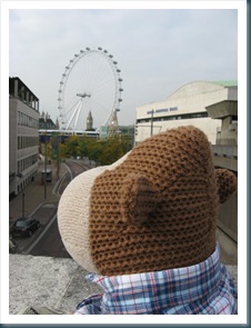 Monkey Looking At london Eye