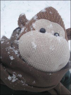 [Snow Monkey[5].jpg]