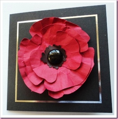 Rememberance Day Poppy