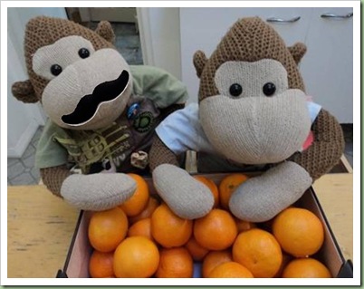 oranges oranges