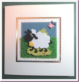 Sheep Card