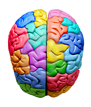 [multi-coloured-brain[2].png]