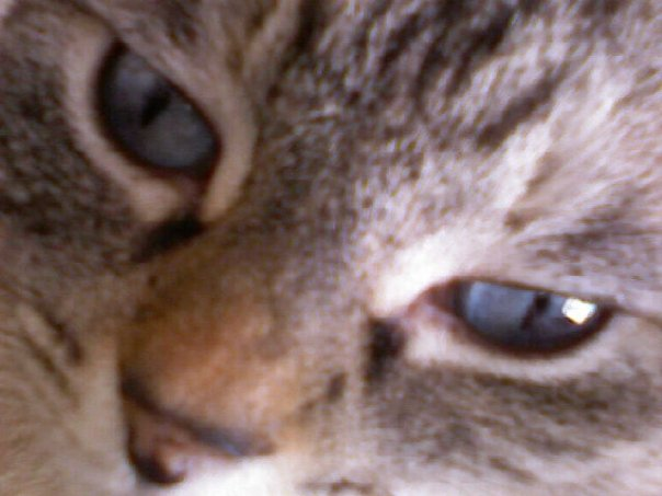 [Wink.png]