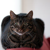 20110108-DSC_0064