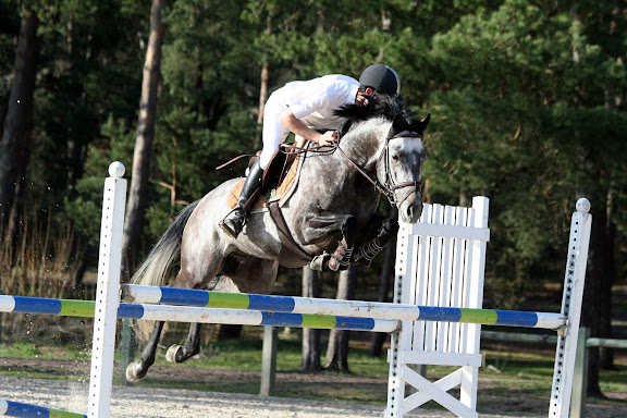 Cheval et cavalier en saut d'obstacle