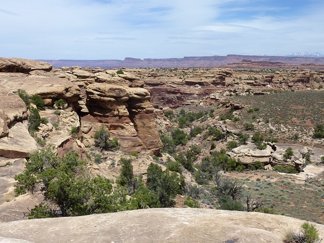 [P1000980[2].jpg]