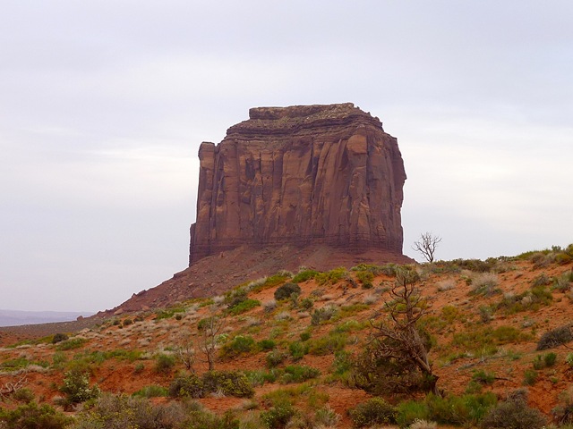 [P1000890[2].jpg]