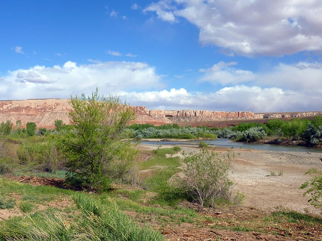 [P1000908[2].jpg]