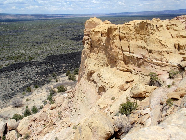 [P4230353[2].jpg]