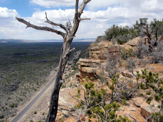 [P4230360[2].jpg]