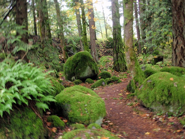 [PA210034[2].jpg]