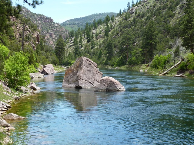 [P1010389[3].jpg]