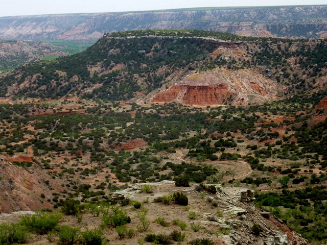 [P1040475[2].jpg]