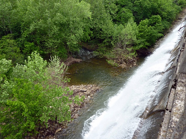 [P1040551[2].jpg]