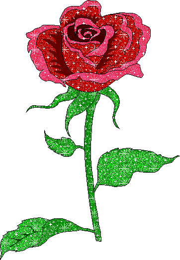 gifs de rosas con brillos para San Valentín | 14 de febrero