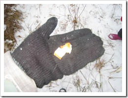 IMG_3426 IMG_3426