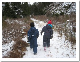IMG_3428 IMG_3428