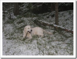 IMG_3435 IMG_3435