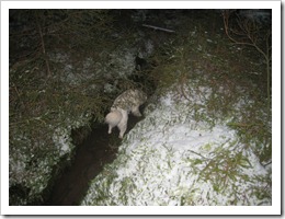 IMG_3437 IMG_3437