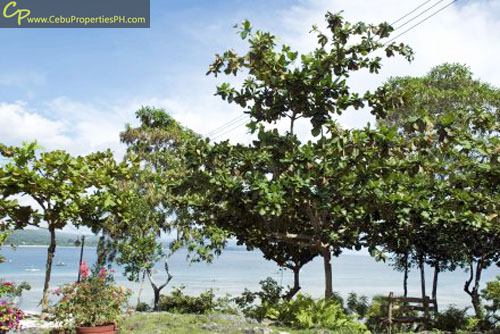 1.7 Beach Property in Dauis Panglao Bohol FOR SALE!