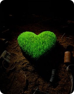 green-heart green-heart