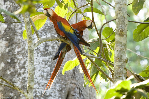 Lugares hermosos de Costa rica parte.1 zona del pacifico