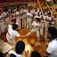 IMG_1317.JPG