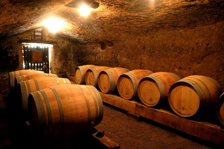 Visita Orvieto Wineries