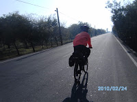 萬丹新南路 Photo