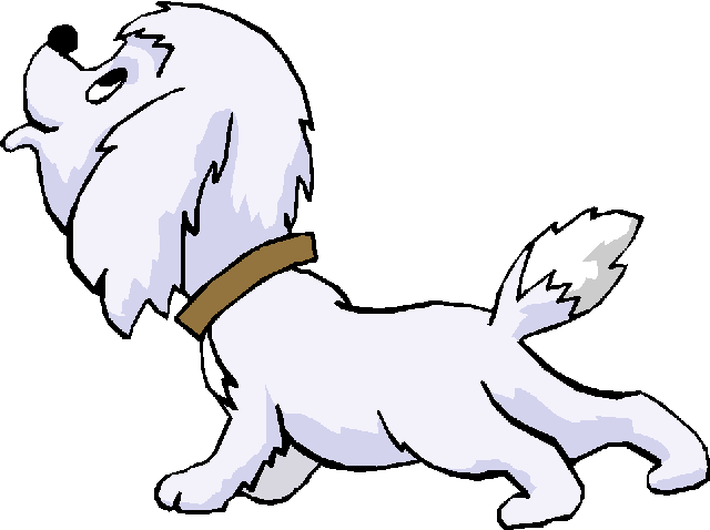 [Cachorro Branco[3].gif]