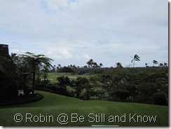 IMG_6078 IMG_6078