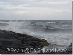 IMG_6117 IMG_6117