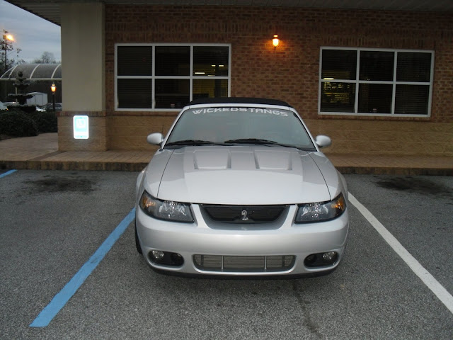SDC10297.JPG