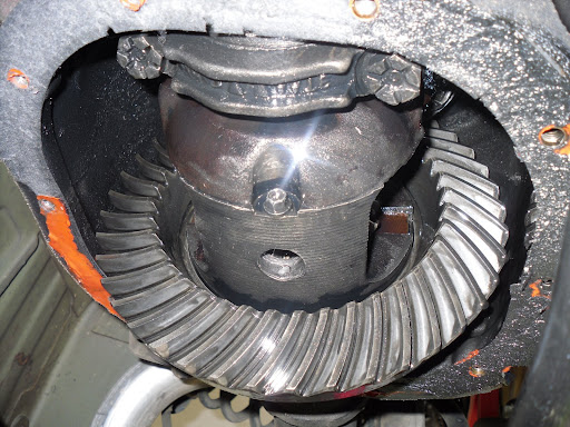 SDC11186.JPG