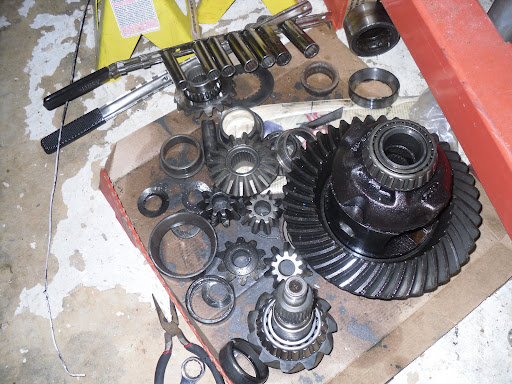 SDC11610.JPG