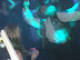 DSCF4321.JPG