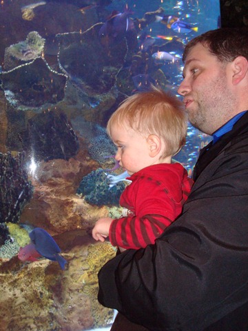 [DSC04679[3].jpg]