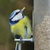 Imgp3292_2