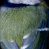 Imgp3224_2
