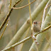 Imgp3793_2