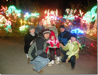 Christmas Lights 003