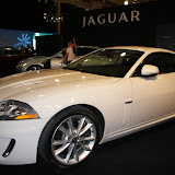 IMG_4455.JPG