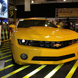 IMG_4831.JPG