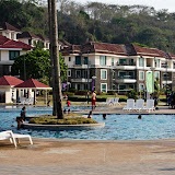 photo (20) (Large).jpg