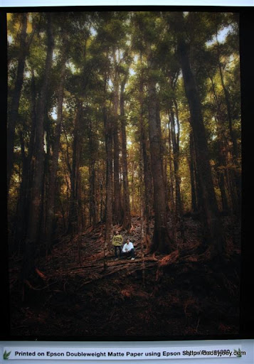The Lush Earth, Lito Sy