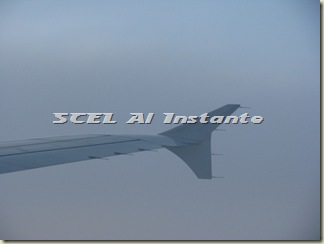 IMG_1869 IMG_1869