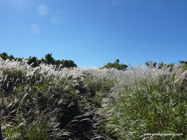 Foto de  JP - Parc Nacional Kirishima-Yaku, Kirishima-Yaku National Park (霧島屋久国立公園)